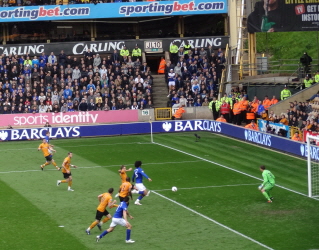 Everton DSC04184 Fellaini offside