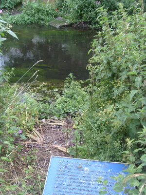 S73R0023Wandle3