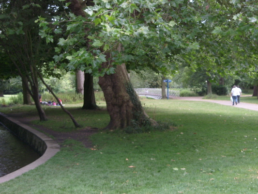 S73R0050 Morden Hall Park