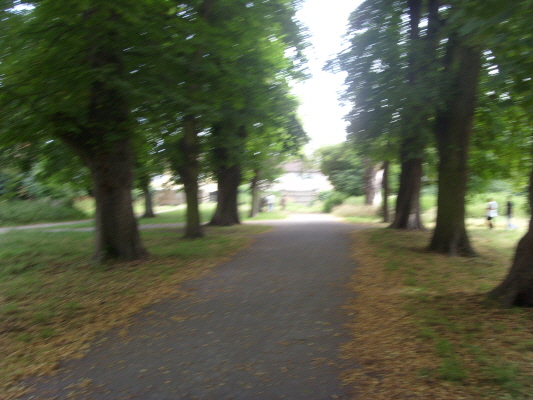 S73R0054 Morden Hall Park